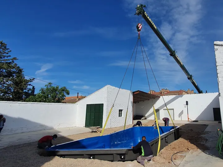 71b05cfc-8721-4210-b4b9-78f9c42aa577